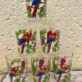Six vintage parakeet glasses