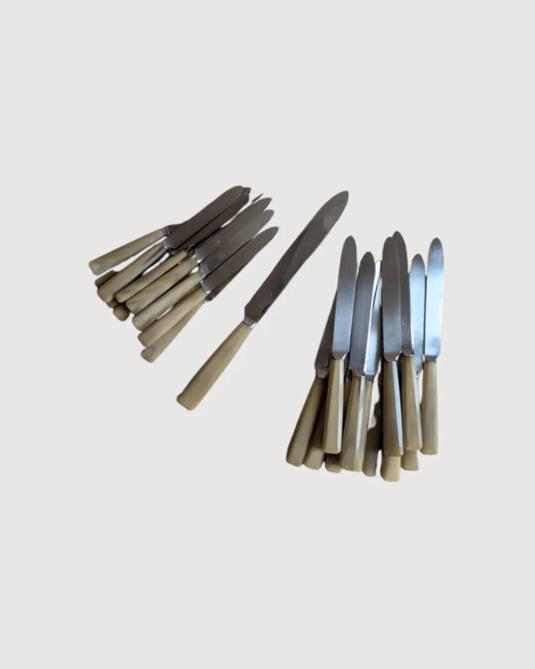 Set of 25 horn and stainless steel knives