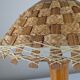 Bamboo and rattan table lamp with woven shade, 1950s