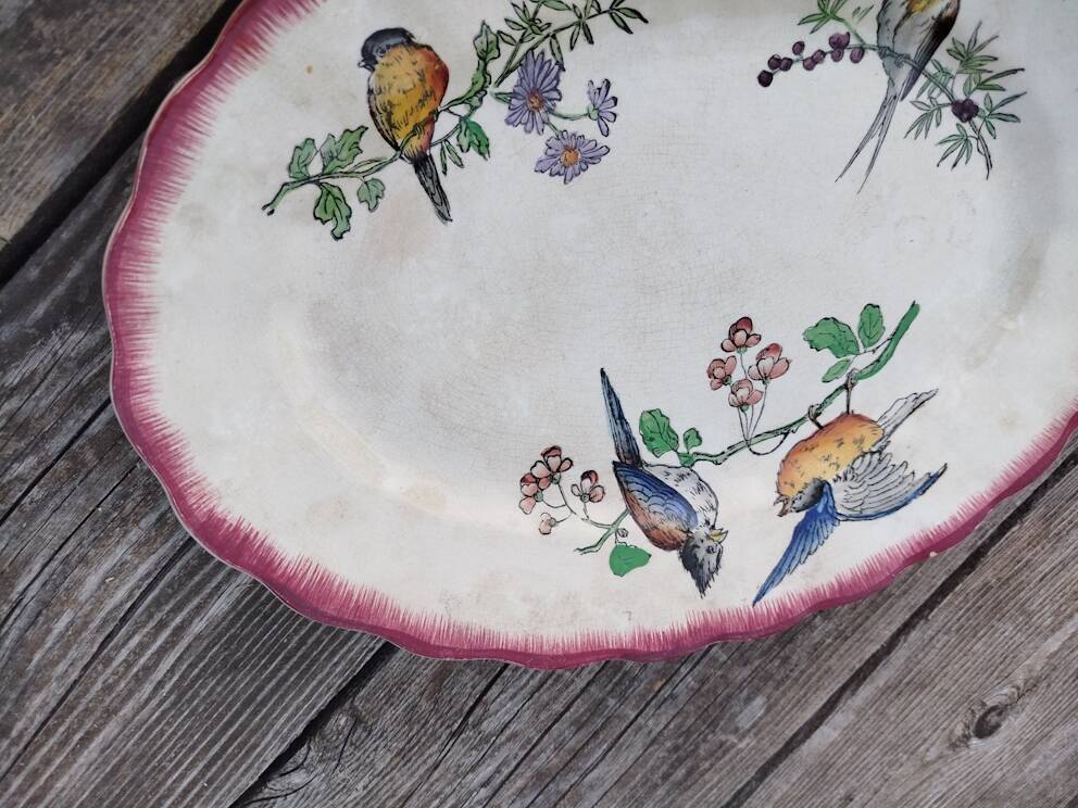 Plate oval iron earth birds choisy le roi