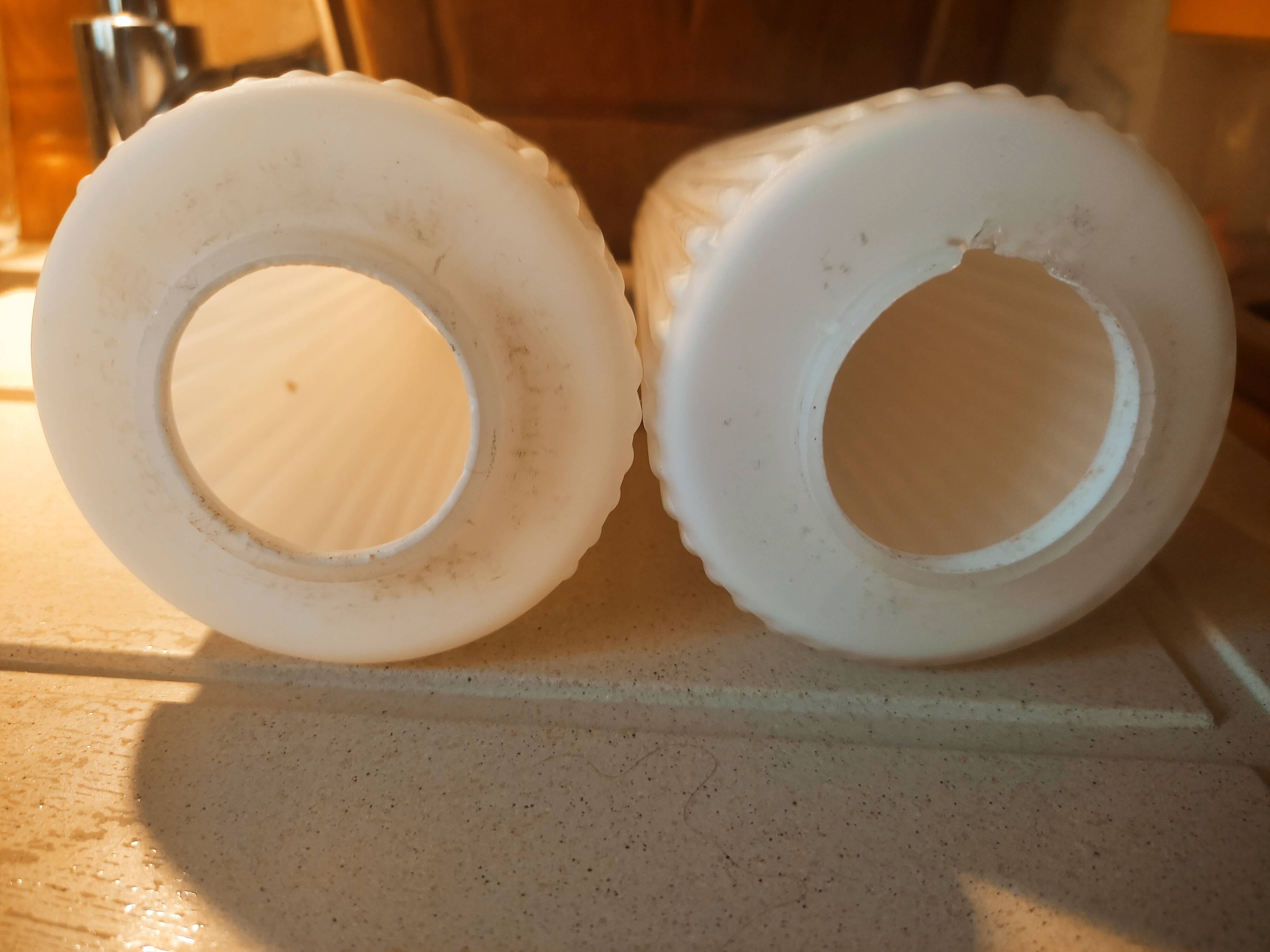 Striated opaline tulips