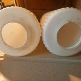 Striated opaline tulips