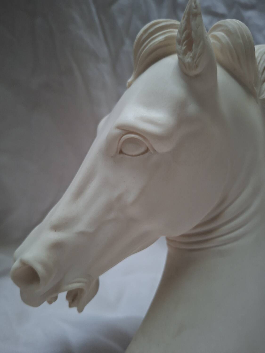 Horse head A. Giannelli