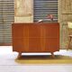 Storage chest or mini bar U459 by Jiri Jiroutek for Interier Praha 1960
