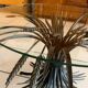 Robert Goosens CocoChanel Cornflower Coffee Table Circa 1970