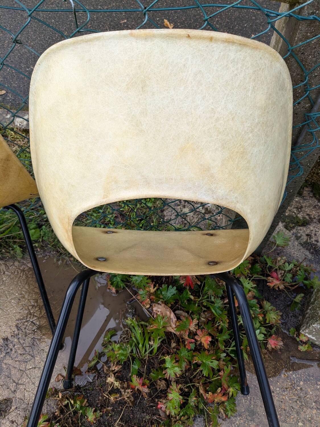 Lot de 6 chaises pierre guariche