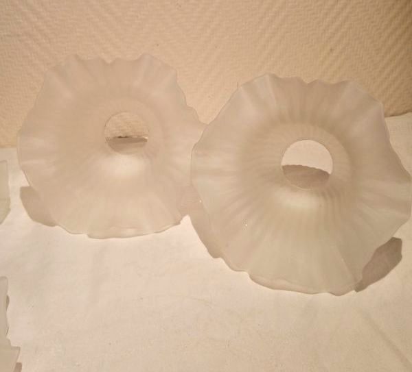Lot 4 globes tulipe opaline