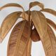 "Palm tree" floor lamp in rattan
