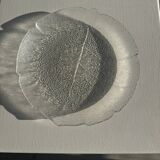 Lot de 6 petites assiettes en forme de feuille en verre vintage Arcoroc Asp