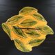 Dish signed Vallauris barbotine