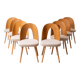 Set of 8 Mid Century Dining Chairs by A. Šuman, 1960s, Reupholstery Options