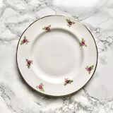 Teacup on its saucer and porcelain cake plate