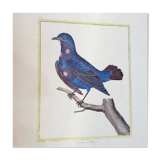 Tableau oiseau