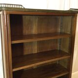 Entrance library - bibus Louis XVI