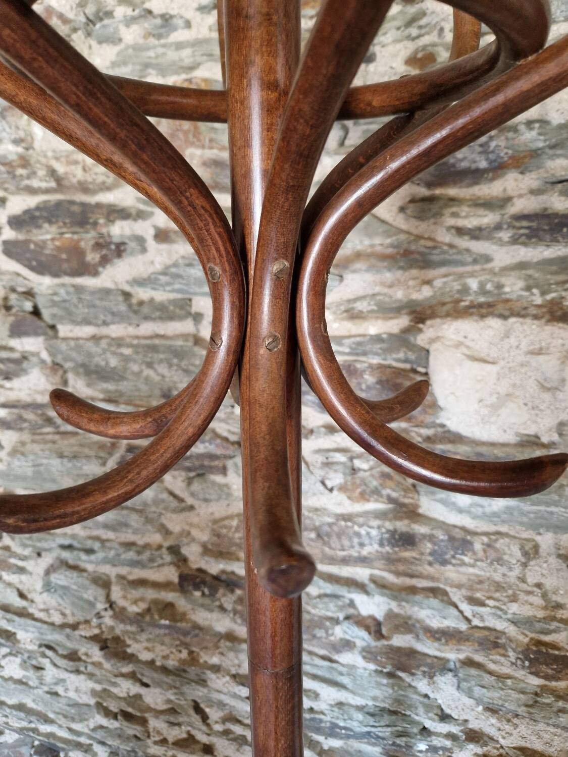 Old Baumann style parrot coat rack