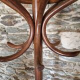 Old Baumann style parrot coat rack