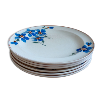Flat plates blue flowers