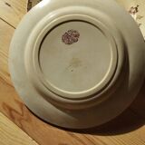 Datura plates iron earth