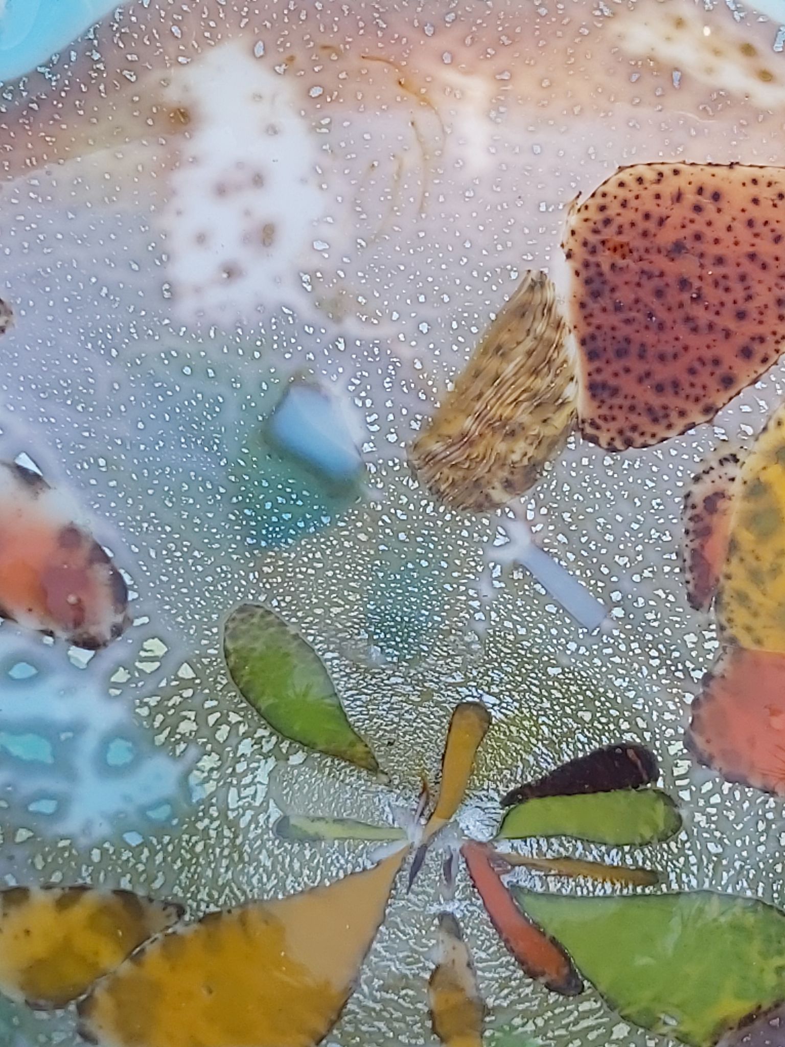 Vide poche en verre Murano vintage