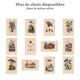 Gravure ancienne de 1839 - Arbre Pipal - planche Botanique vintage