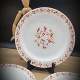 Set 6 flat plates Red and orange flowers