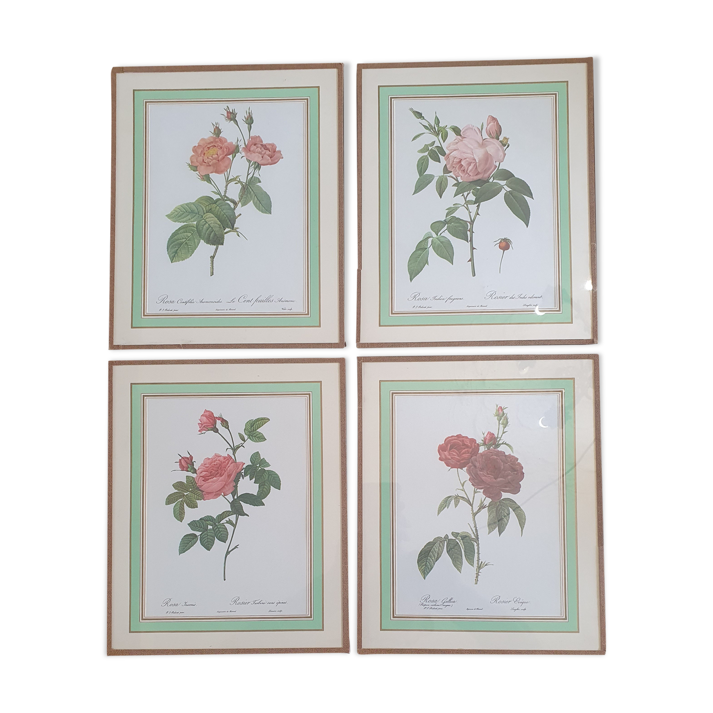 Set of 4 prints after P J Redoute