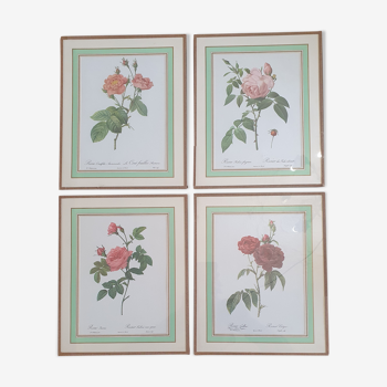 Set of 4 prints after P J Redoute
