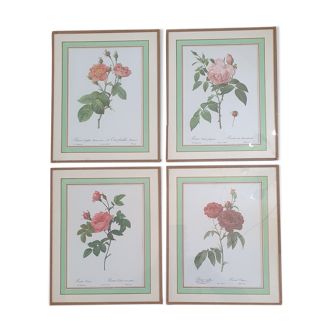 Set of 4 prints after P J Redoute