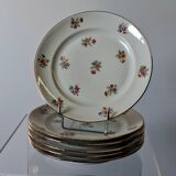 6 dessert plates in French porcelain in good condition.