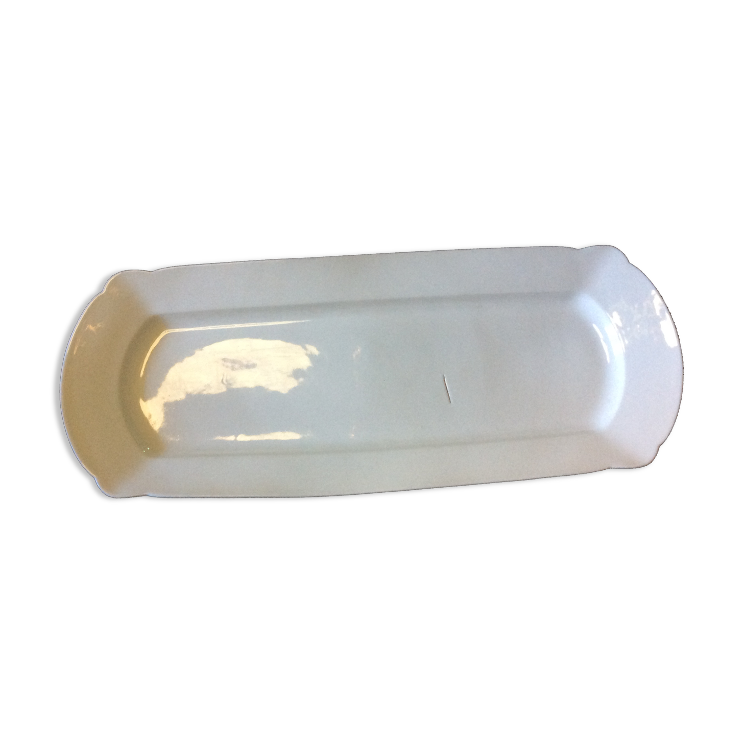 White dish, fish dish