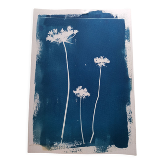 Cyanotype fleurs bleu carottes vintage