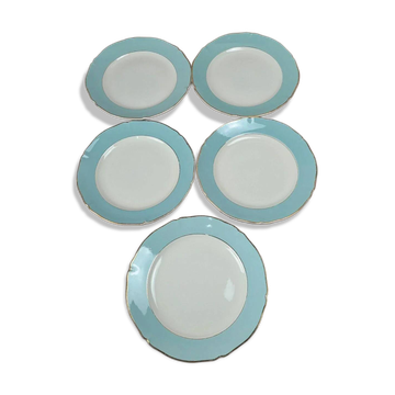 Set of 5 antique flat plates Seranord Saint-Amand – Chambord model