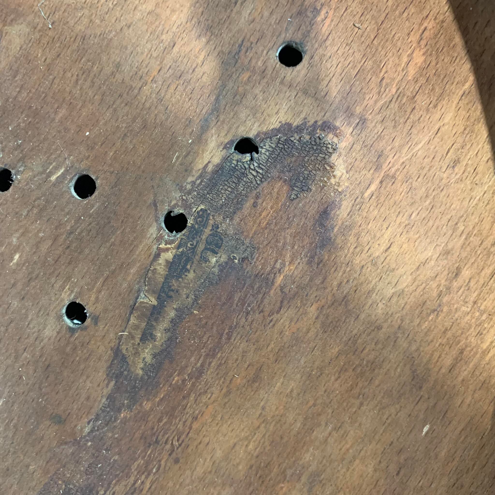 Paire de chaises bistrot n°55 J&J Kohn