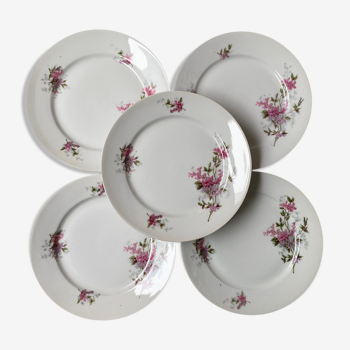 Set de 5 assiettes en porcelaine