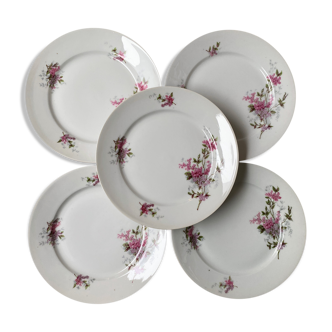 Set de 5 assiettes en porcelaine