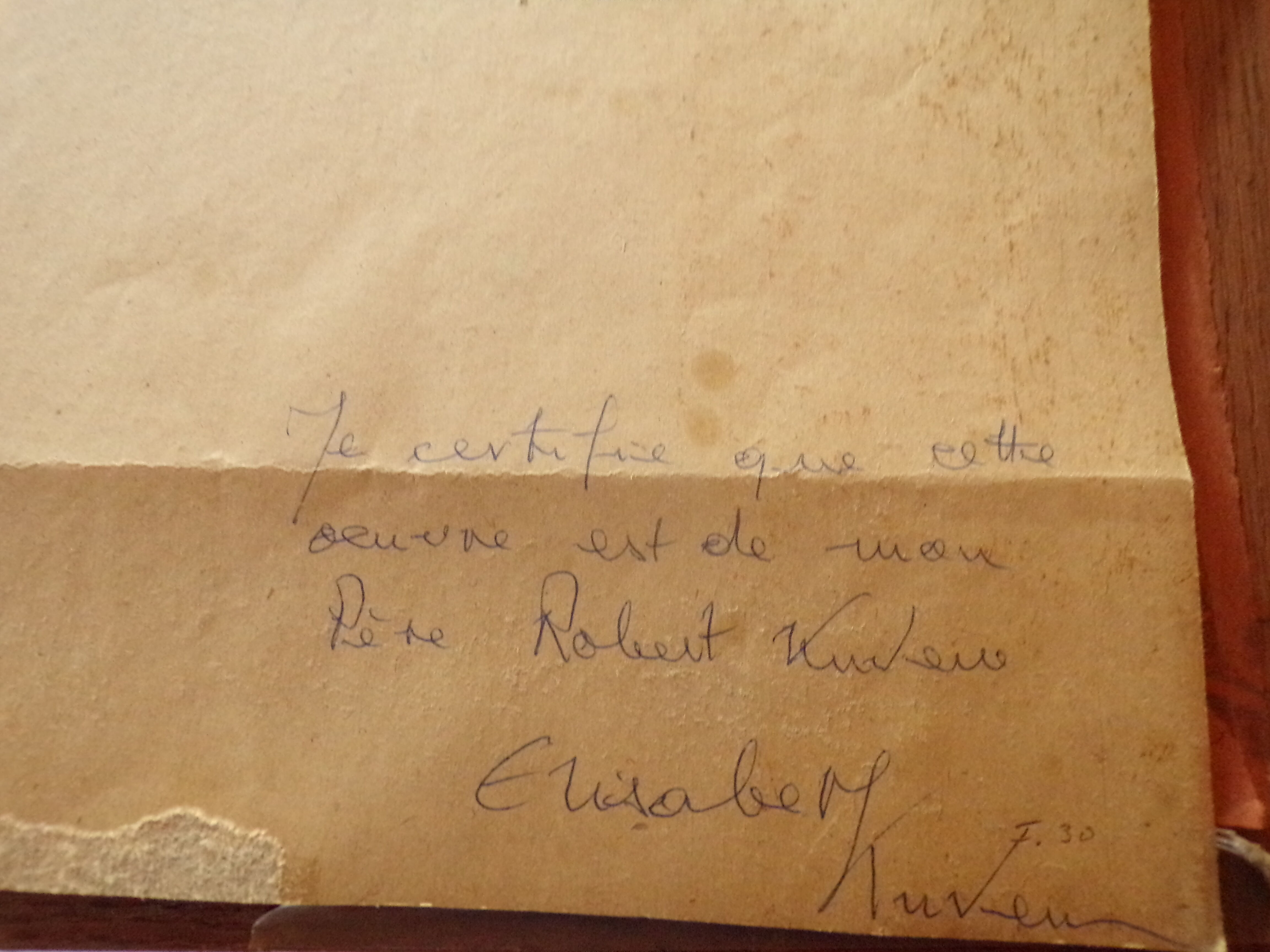 Portrait young woman