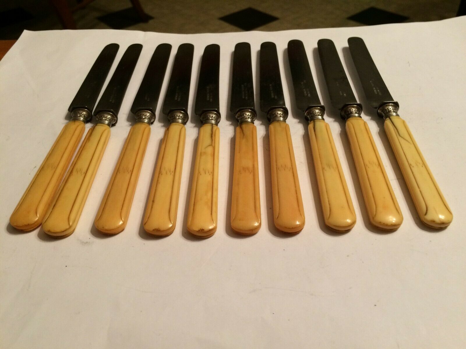 Set of 10 blade knives in steel cheese and dessert