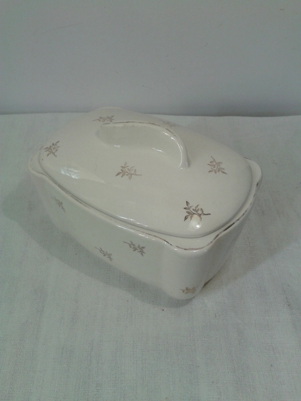 Box earthenware of Salins