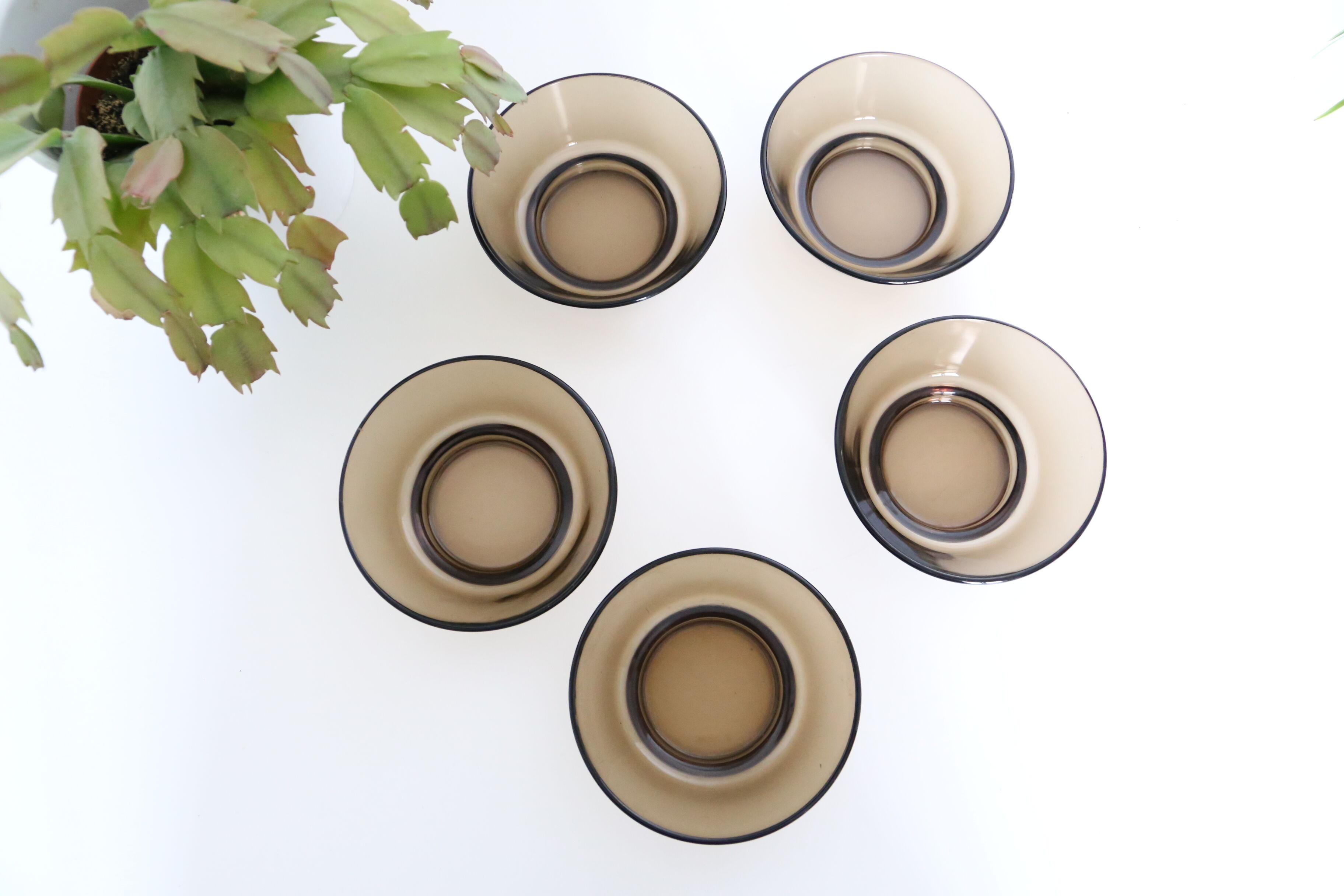 Verreco bowls in grey smoked glass