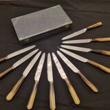 Sabatier table knives