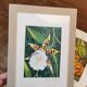 Orchid botanical board