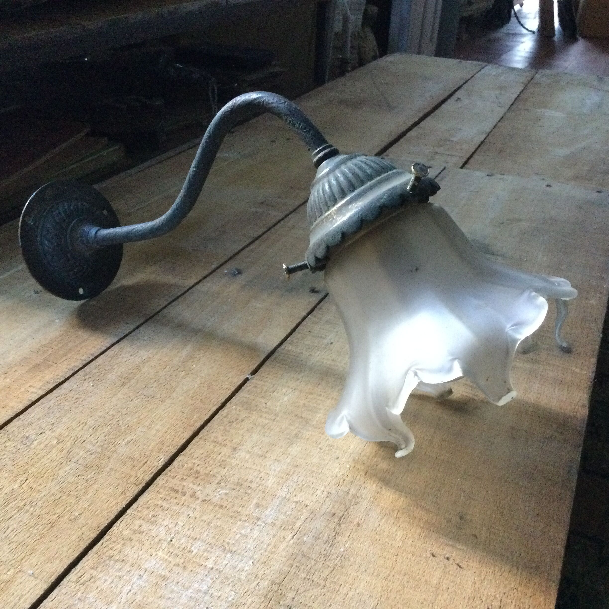 Antique wall lamp and tulip