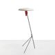 Rare Philips NX38 floor lamp by Louis Kalff