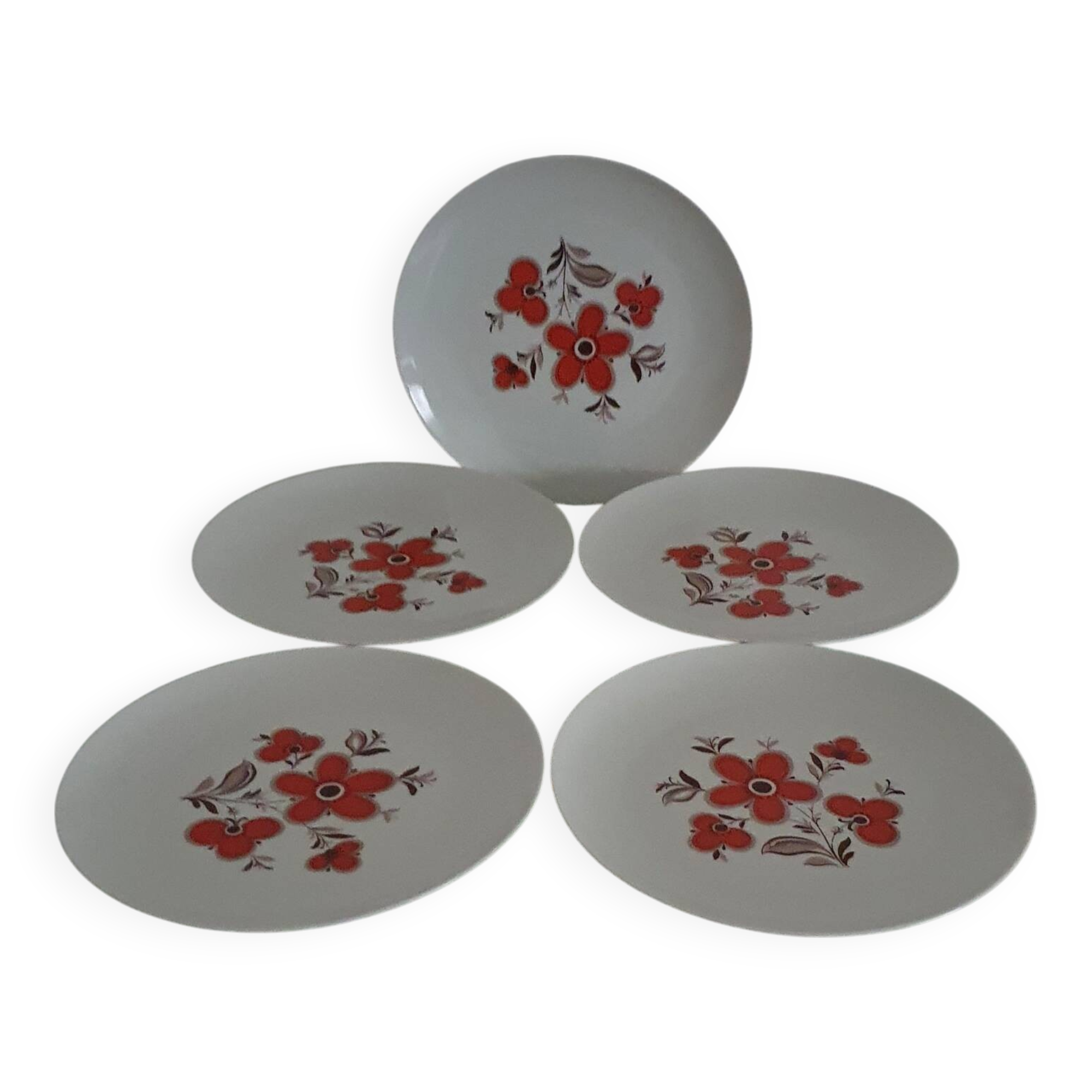 Set of 5 flat plates - Arzberg earthenware - 1960/70