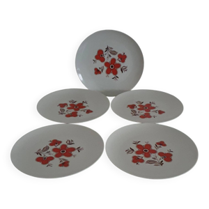 Lot de 5 assiettes plates-