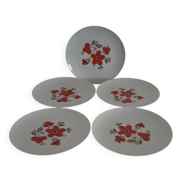 Lot de 5 assiettes plates- Faïencerie Arzberg-1960/70