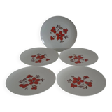 Set of 5 flat plates - Arzberg earthenware - 1960/70