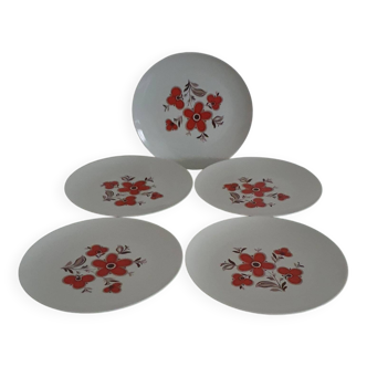 Set of 5 flat plates - Arzberg earthenware - 1960/70