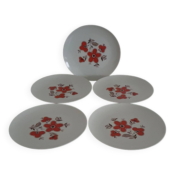 Set of 5 flat plates - Arzberg earthenware - 1960/70