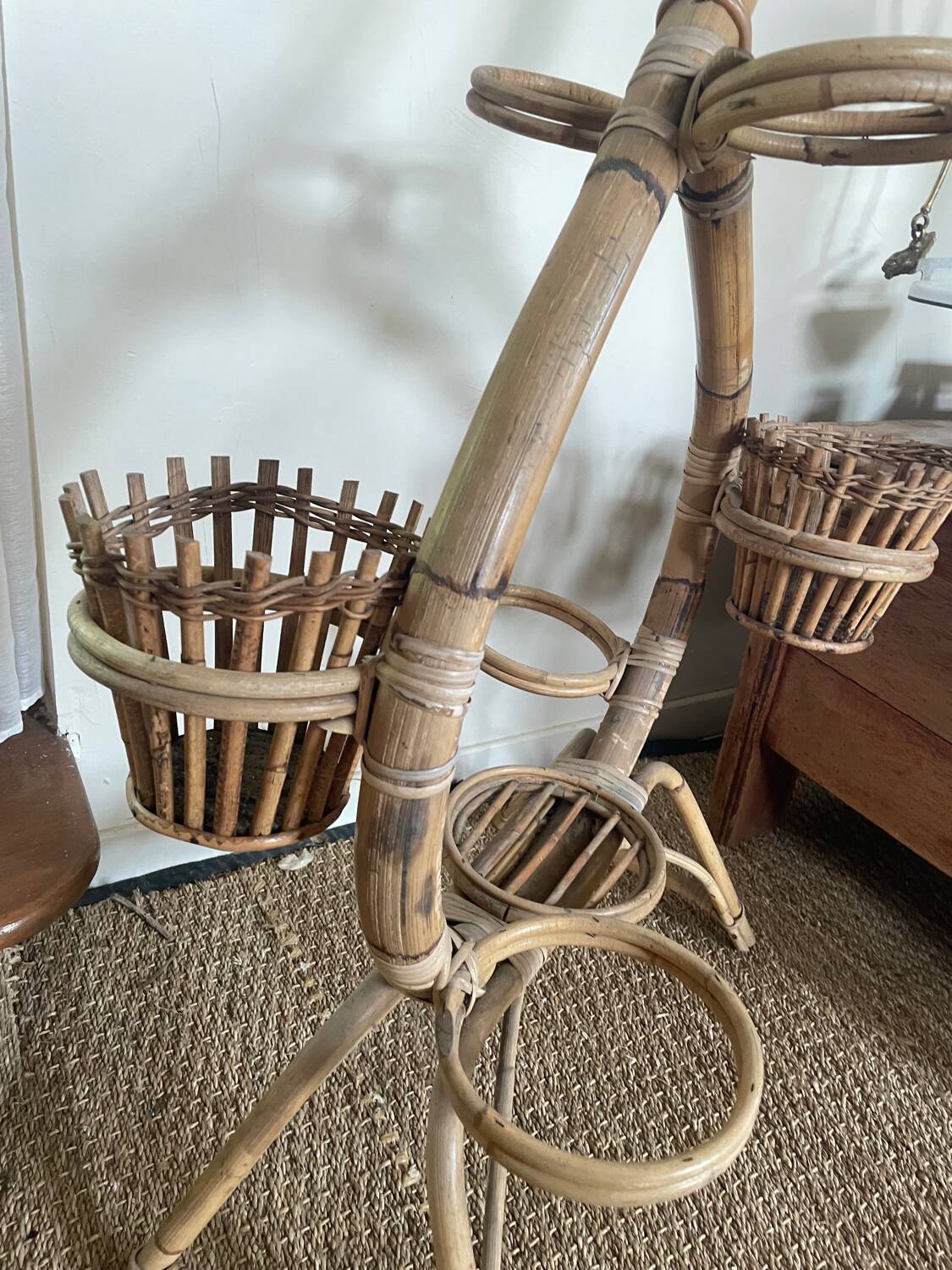 Serpent plant holder